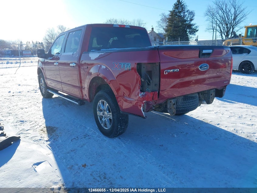 1FTEW1EF7FKE94250 2015 FORD F-150 photo no. 3