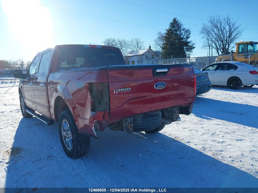 1FTEW1EF7FKE94250 2015 FORD F-150 photo no. 6