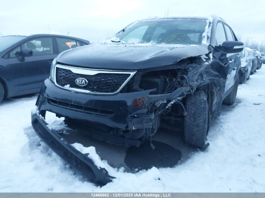 2014 Kia Sorento Lx/Se VIN: 5XYKT3A61EG496285 Lot: 12466662