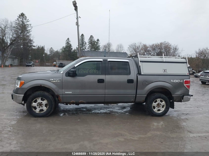 2012 Ford F150 Supercrew VIN: 1FTFW1ET3CFA76041 Lot: 12466689