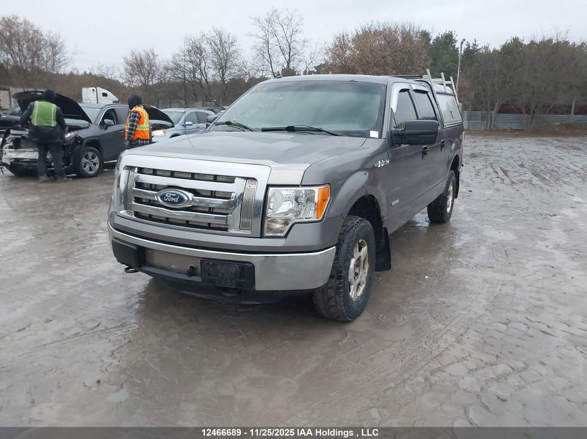 1FTFW1ET3CFA76041 2012 FORD F-150 photo no. 2