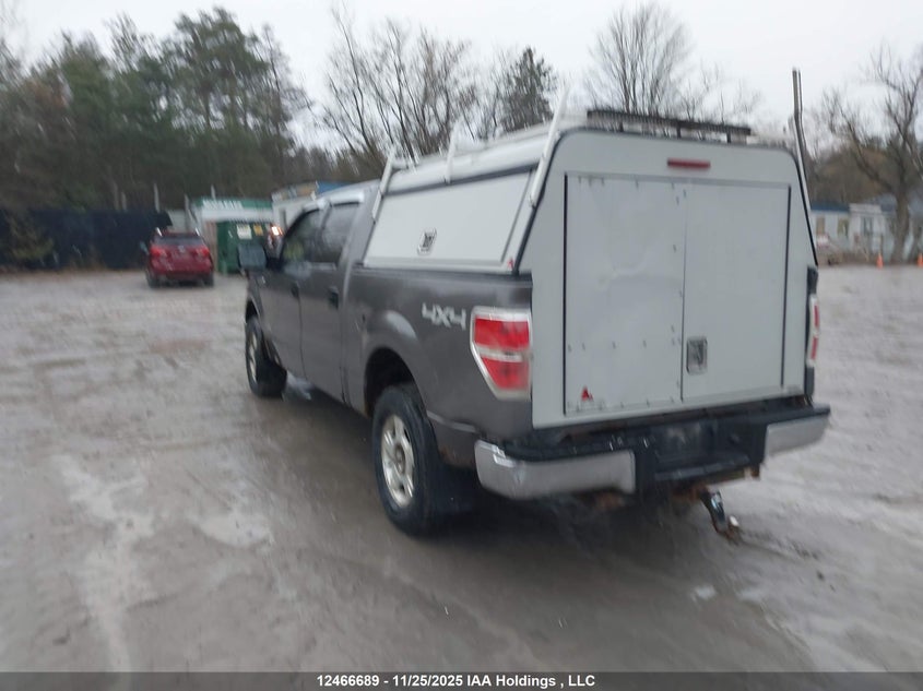 1FTFW1ET3CFA76041 2012 FORD F-150 photo no. 3
