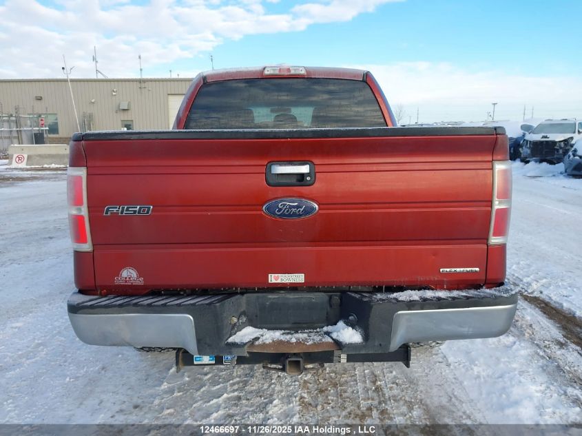 2014 Ford F-150 Xlt VIN: 1FTFW1EFXEKD77877 Lot: 12466697