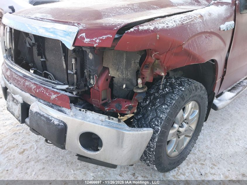 2014 Ford F-150 Xlt VIN: 1FTFW1EFXEKD77877 Lot: 12466697