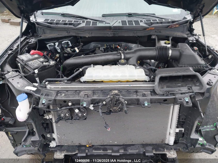 2025 Ford F150 Xlt VIN: 1FTFW3L8XSKD12250 Lot: 12466698