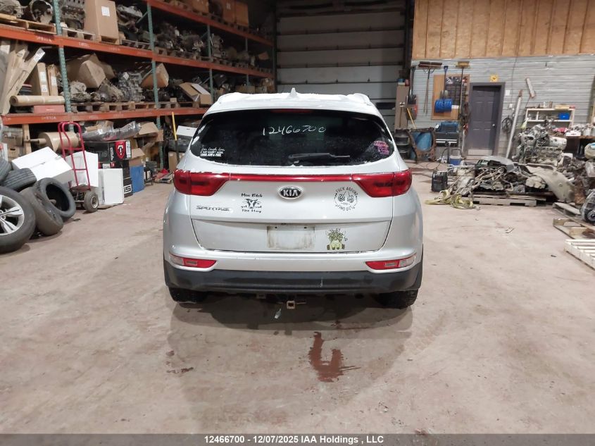 2017 Kia Sportage Lx VIN: KNDPMCAC5H7262905 Lot: 12466700