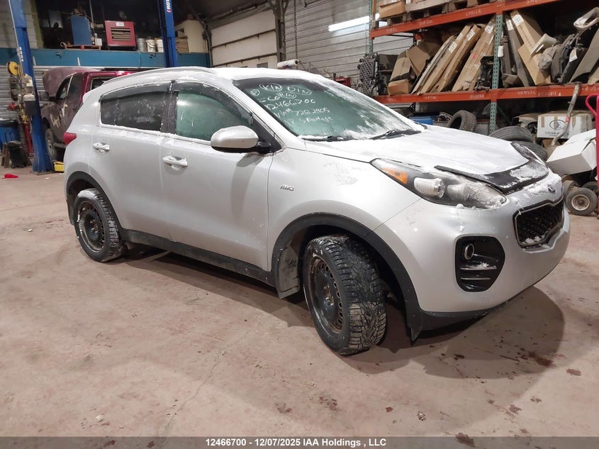 KNDPMCAC5H7262905 2017 Kia Sportage Lx auction photo 1