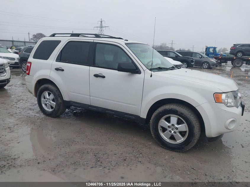 2010 Ford Escape Xlt VIN: 1FMCU0D71AKC87441 Lot: 12466705