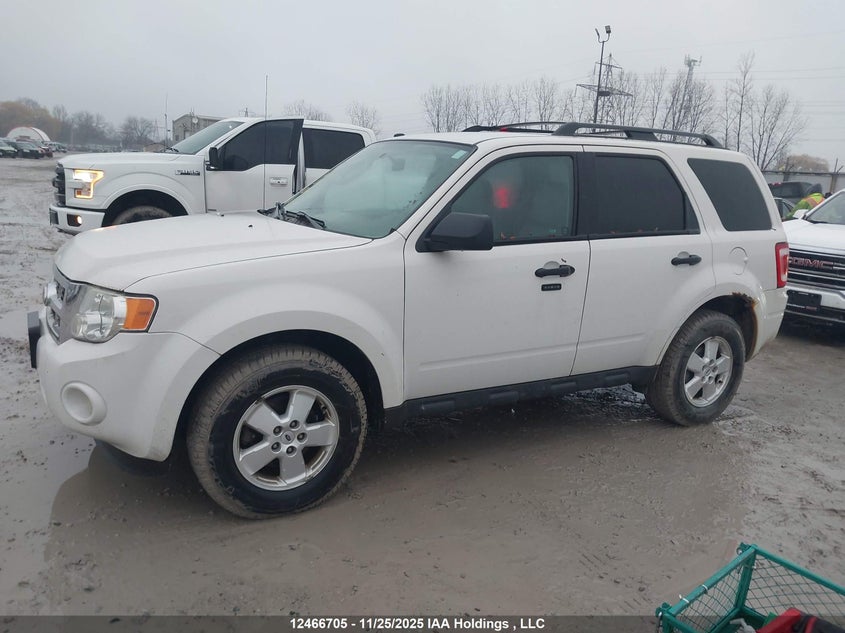 2010 Ford Escape Xlt VIN: 1FMCU0D71AKC87441 Lot: 12466705