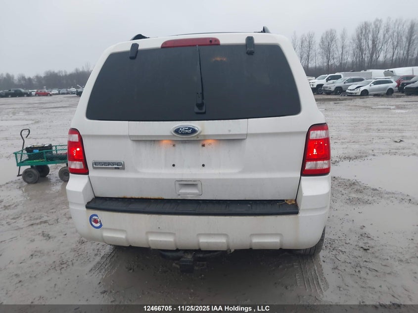 2010 Ford Escape Xlt VIN: 1FMCU0D71AKC87441 Lot: 12466705