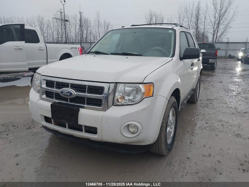 2010 Ford Escape Xlt VIN: 1FMCU0D71AKC87441 Lot: 12466705