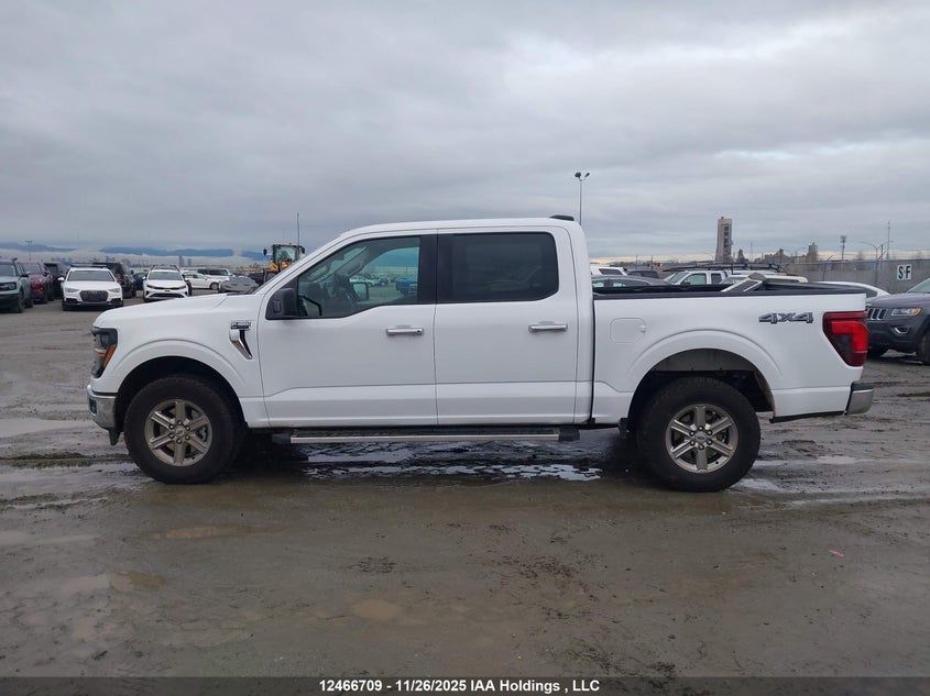 2025 Ford F150 Xlt VIN: 1FTFW3L85SKE49127 Lot: 12466709