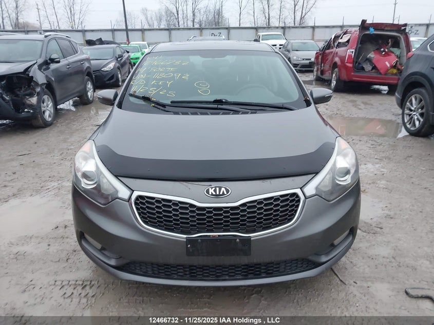 2014 Kia Forte 1.8L Lx/1.8L Lx+/1.8L Se VIN: KNAFX4A66E5118092 Lot: 12466732
