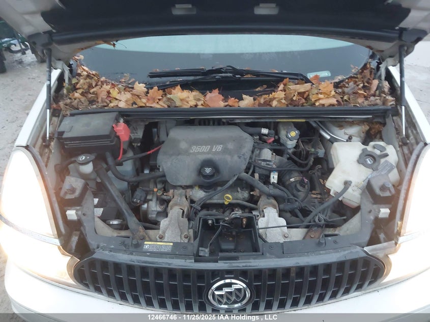 2006 Buick Rendezvous VIN: 3G5DA03L66S635432 Lot: 12466746