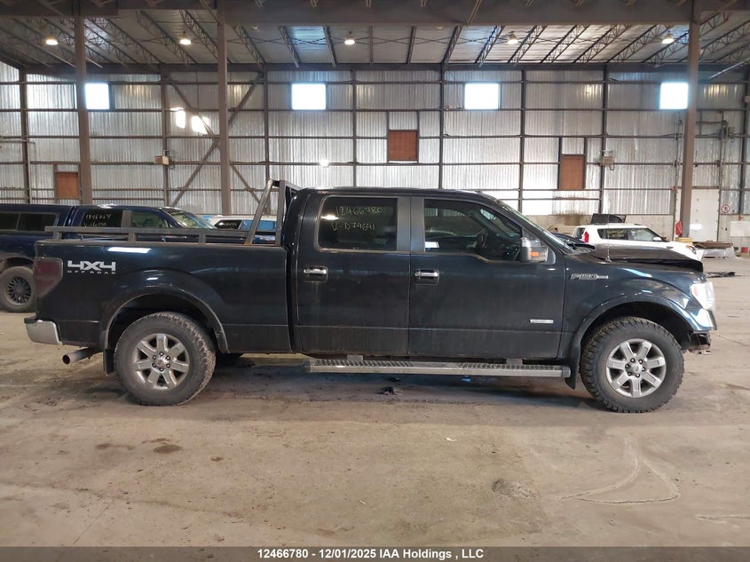 1FTFW1ET4DKD74641 2013 FORD F-150 photo no. 14