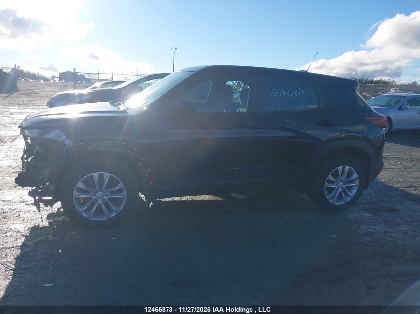 2021 Chevrolet Trailblazer Ls VIN: KL79MMS22MB003880 Lot: 12466873