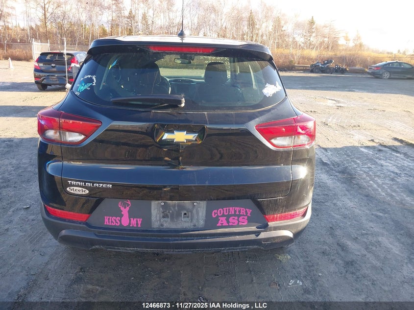 2021 Chevrolet Trailblazer Ls VIN: KL79MMS22MB003880 Lot: 12466873