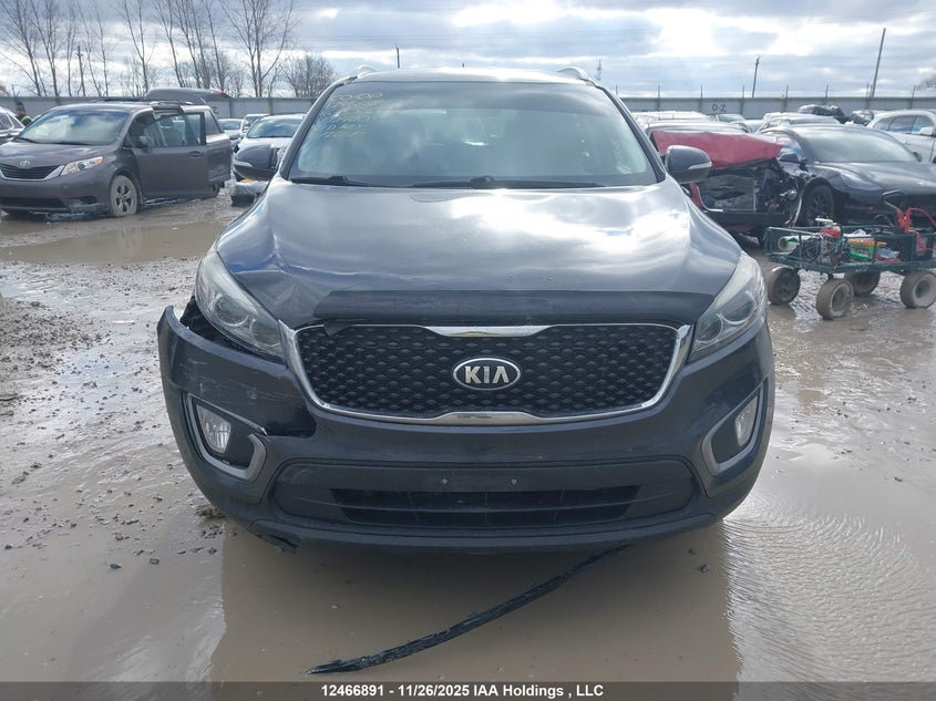 5XYPGDA37GG040039 2016 KIA SORENTO photo no. 12