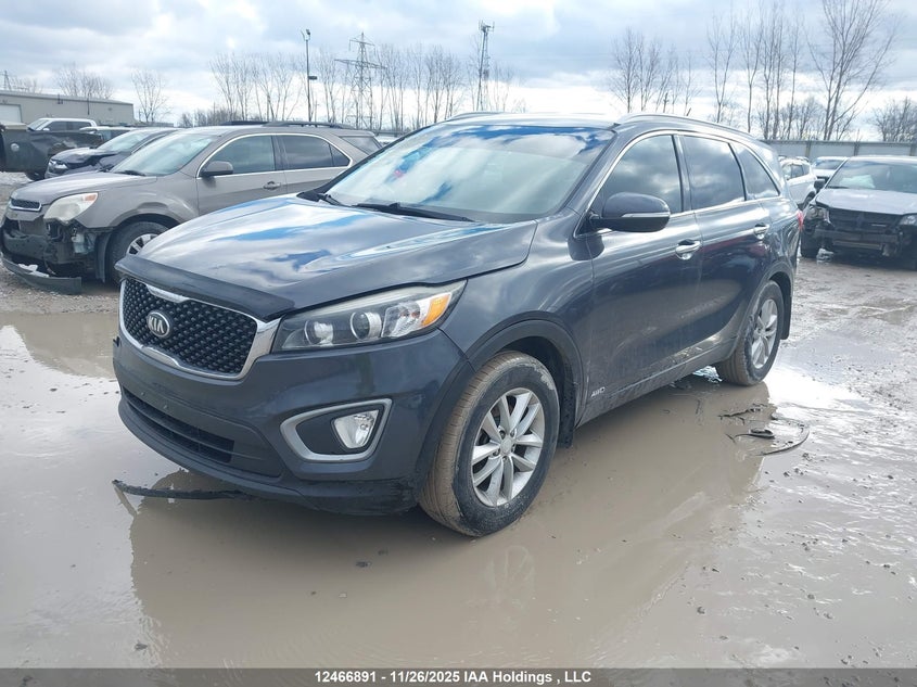5XYPGDA37GG040039 2016 KIA SORENTO photo no. 2