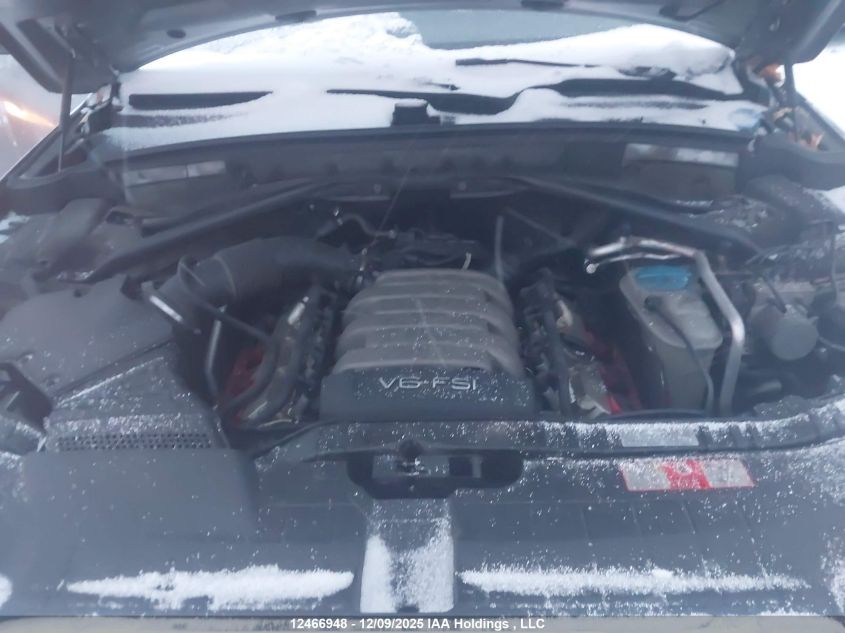 2010 Audi Q5 Premium Plus VIN: WA1LKCFP8AA009970 Lot: 12466948