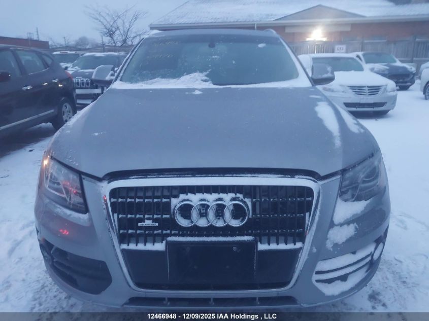 2010 Audi Q5 Premium Plus VIN: WA1LKCFP8AA009970 Lot: 12466948