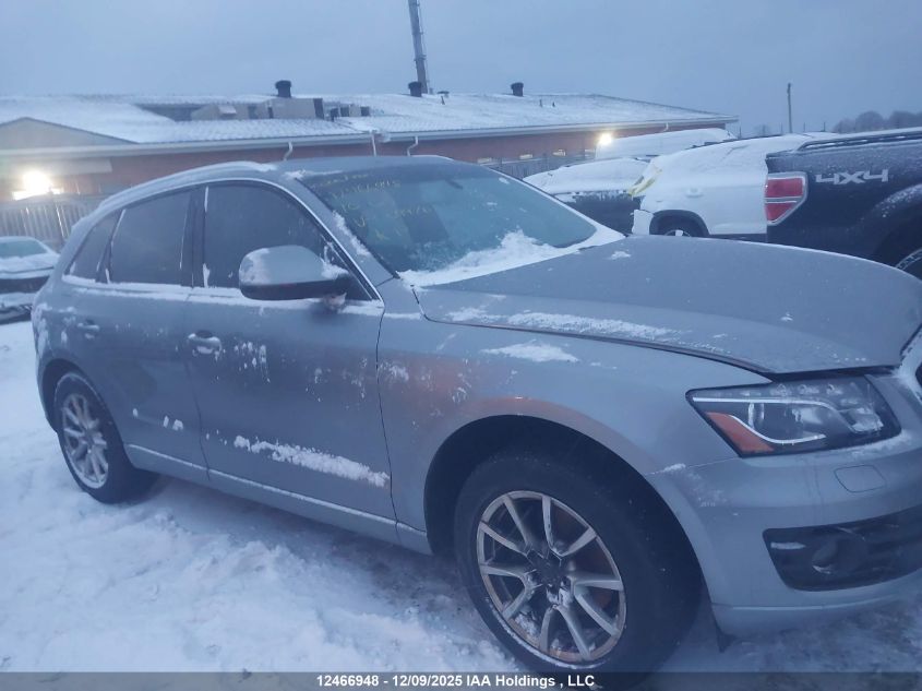 2010 Audi Q5 Premium Plus VIN: WA1LKCFP8AA009970 Lot: 12466948