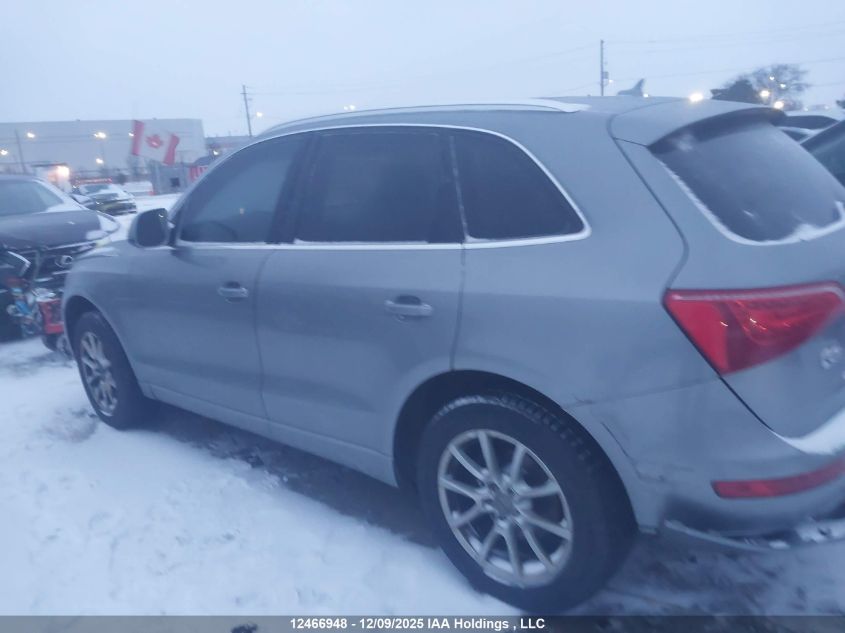 2010 Audi Q5 Premium Plus VIN: WA1LKCFP8AA009970 Lot: 12466948