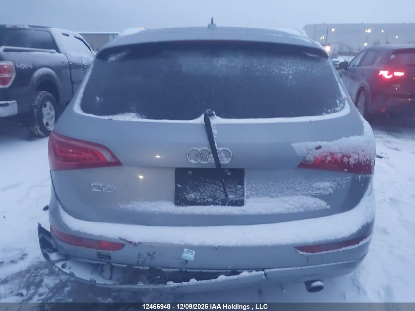 2010 Audi Q5 Premium Plus VIN: WA1LKCFP8AA009970 Lot: 12466948