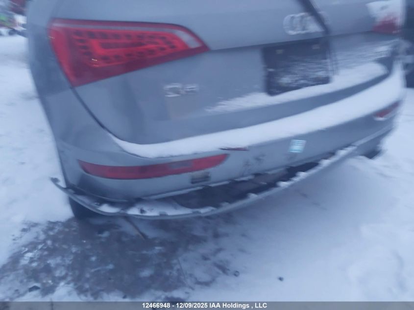 2010 Audi Q5 Premium Plus VIN: WA1LKCFP8AA009970 Lot: 12466948