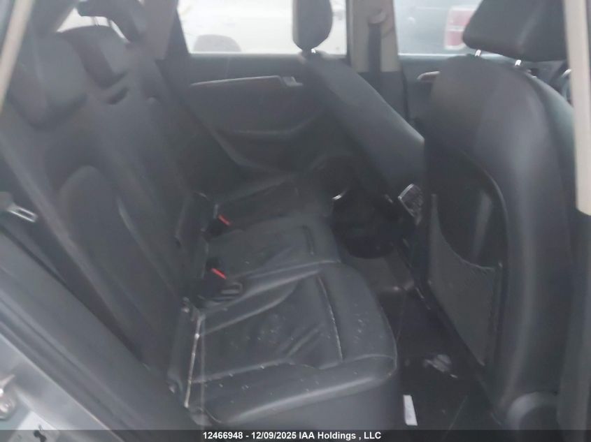 2010 Audi Q5 Premium Plus VIN: WA1LKCFP8AA009970 Lot: 12466948