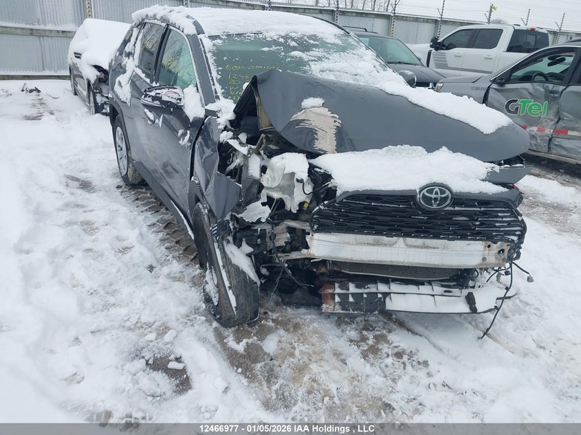 2T3B1RFV5LC061486 2020 Toyota Rav4 Le auction photo 1
