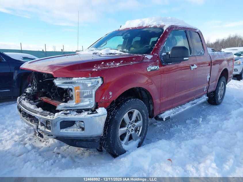 1FTFX1E57KKD67064 2019 FORD F-150 photo no. 2