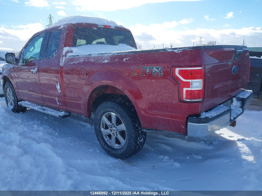 1FTFX1E57KKD67064 2019 FORD F-150 photo no. 3