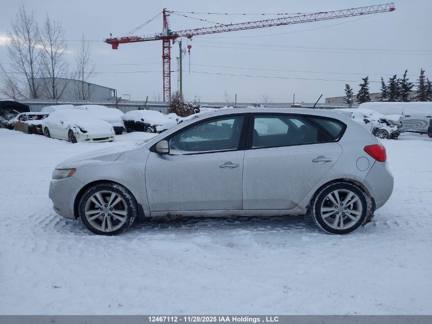 2012 Kia Forte VIN: KNAFW5A37C5496997 Lot: 12467112