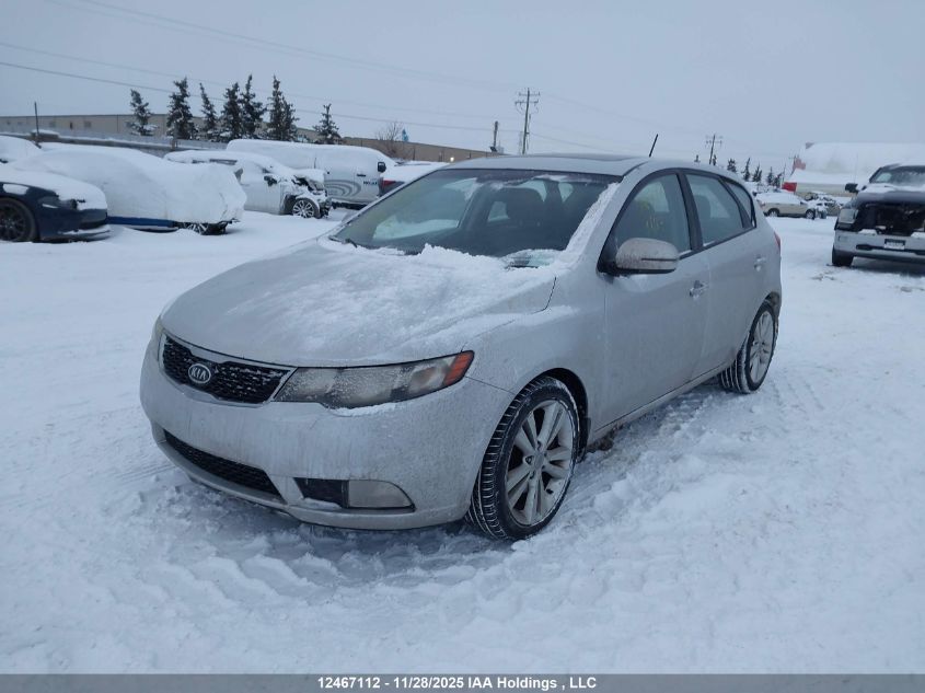 2012 Kia Forte VIN: KNAFW5A37C5496997 Lot: 12467112