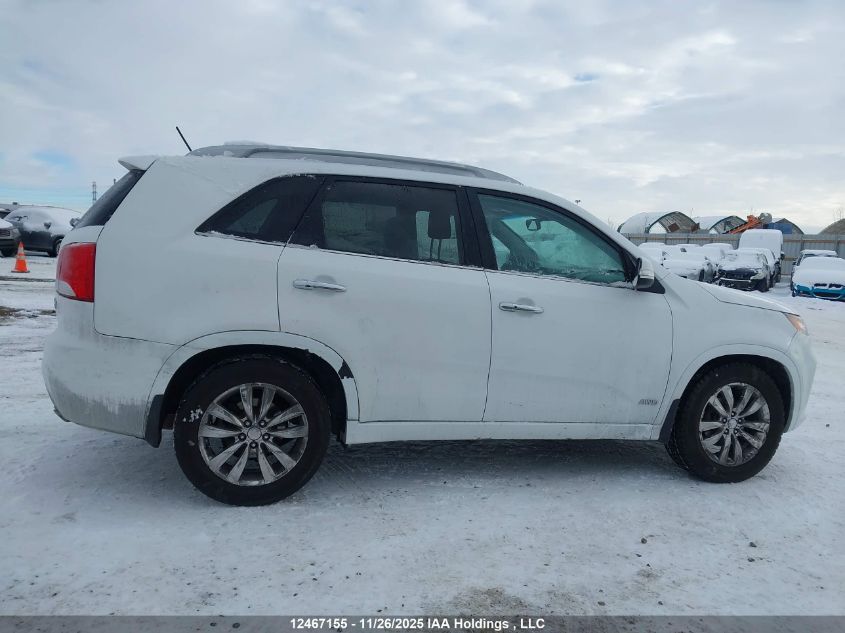 2013 Kia Sorento VIN: 5XYKWDA27DG317384 Lot: 12467155
