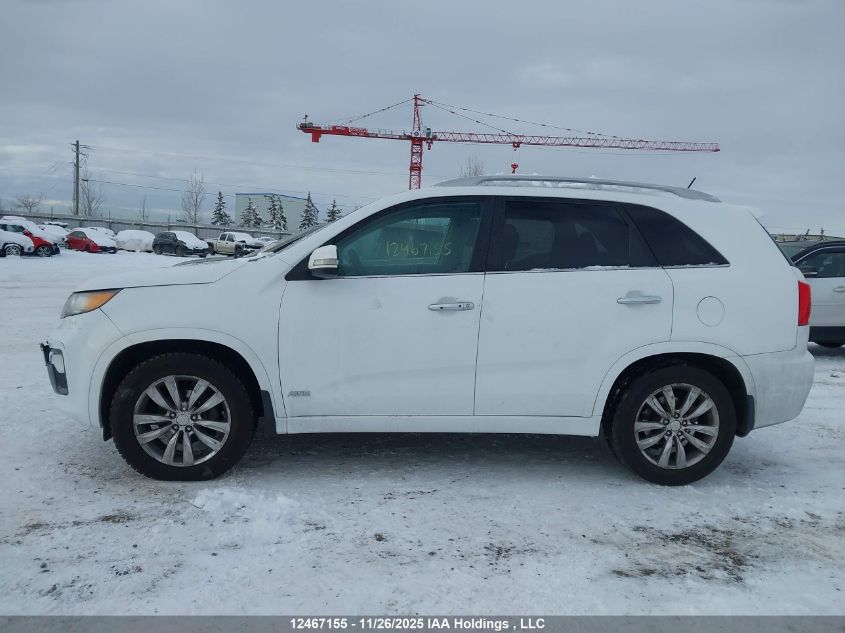 2013 Kia Sorento VIN: 5XYKWDA27DG317384 Lot: 12467155