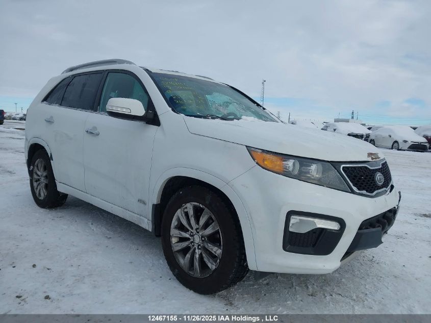 2013 Kia Sorento VIN: 5XYKWDA27DG317384 Lot: 12467155