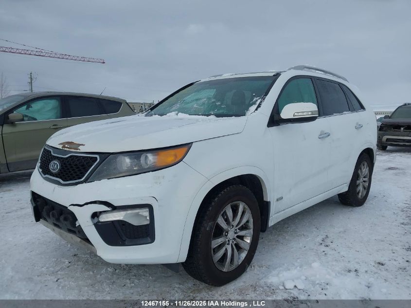 2013 Kia Sorento VIN: 5XYKWDA27DG317384 Lot: 12467155