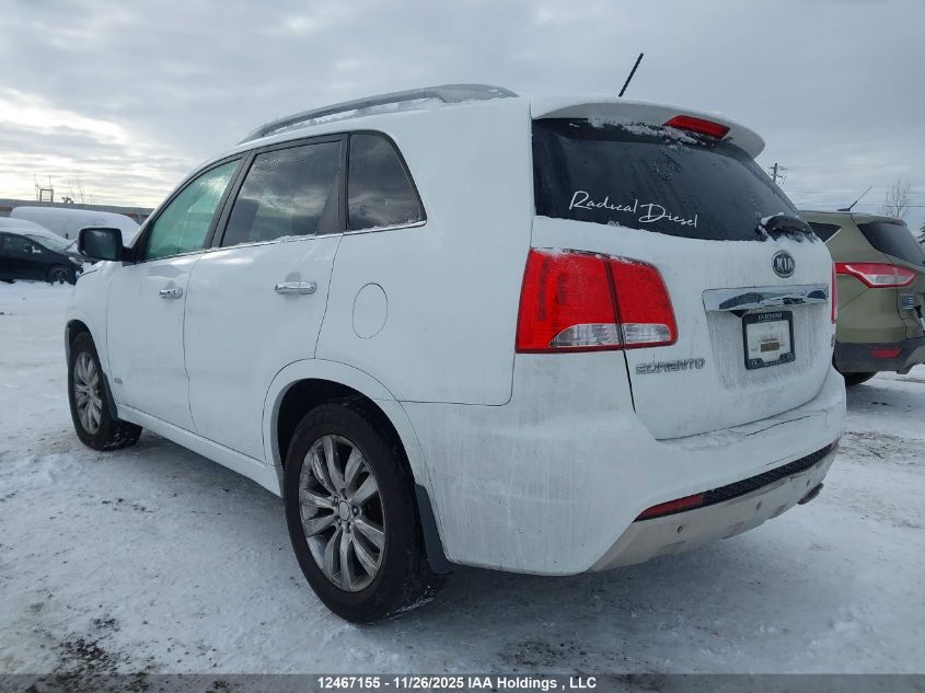 2013 Kia Sorento VIN: 5XYKWDA27DG317384 Lot: 12467155