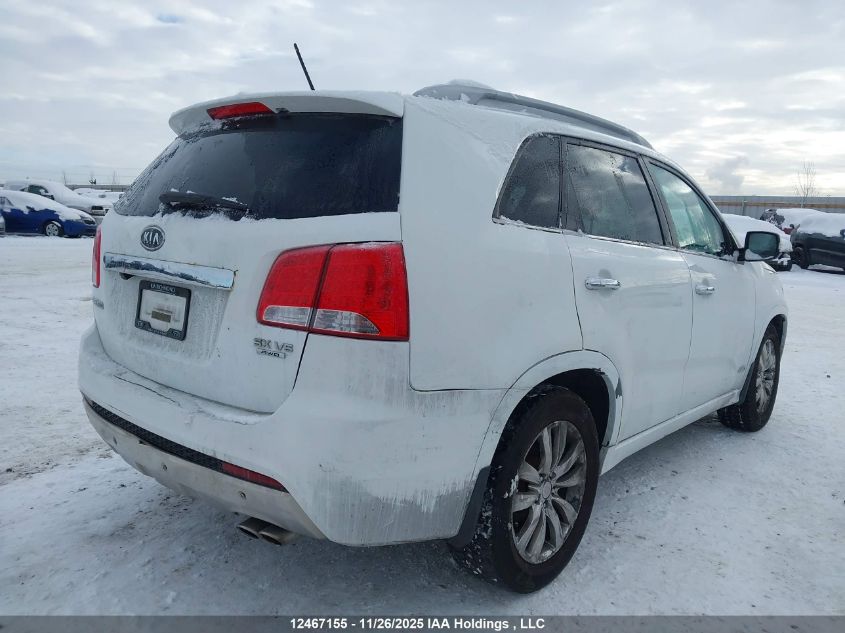 2013 Kia Sorento VIN: 5XYKWDA27DG317384 Lot: 12467155