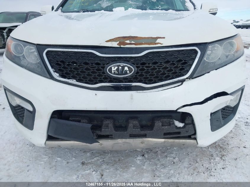 2013 Kia Sorento VIN: 5XYKWDA27DG317384 Lot: 12467155