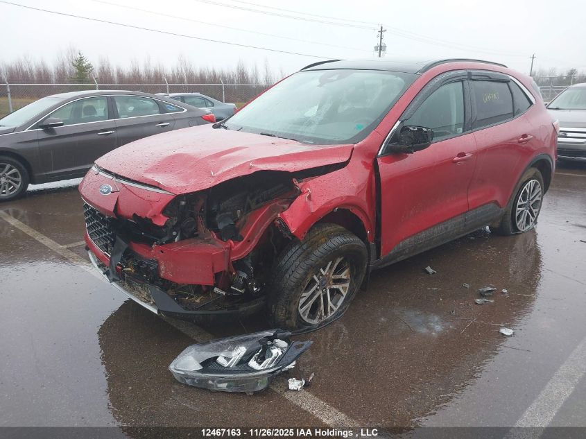 2021 Ford Escape Sel VIN: 1FMCU9H68MUA55661 Lot: 12467163