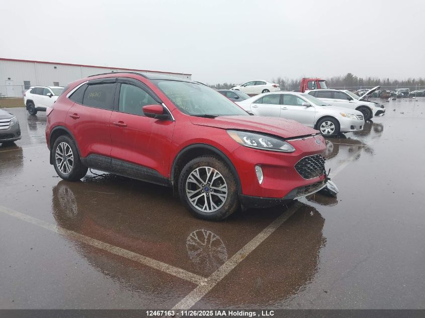 2021 Ford Escape Sel VIN: 1FMCU9H68MUA55661 Lot: 12467163