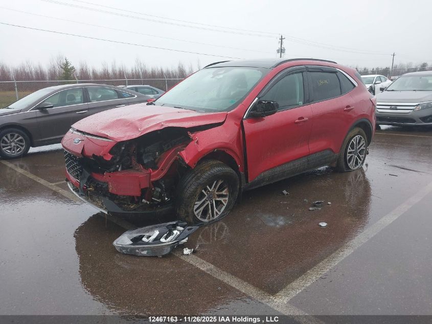 2021 Ford Escape Sel VIN: 1FMCU9H68MUA55661 Lot: 12467163