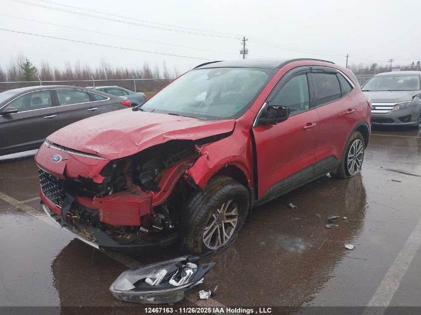 2021 Ford Escape Sel VIN: 1FMCU9H68MUA55661 Lot: 12467163