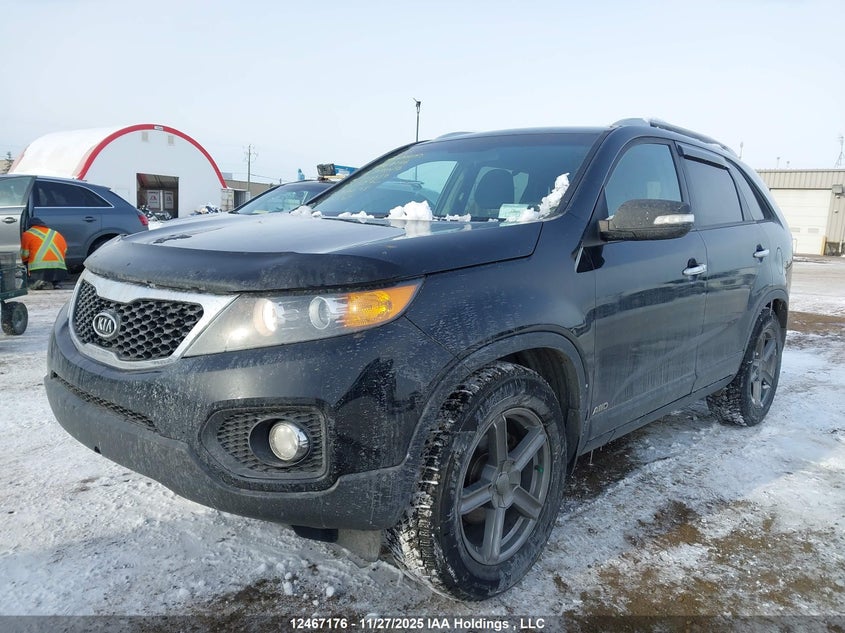 5XYKTDA27DG383684 2013 KIA SORENTO photo no. 2