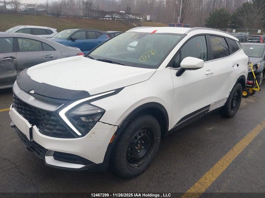 2025 Kia Sportage Lx/X-Line VIN: KNDPUCDF0S7343369 Lot: 12467299