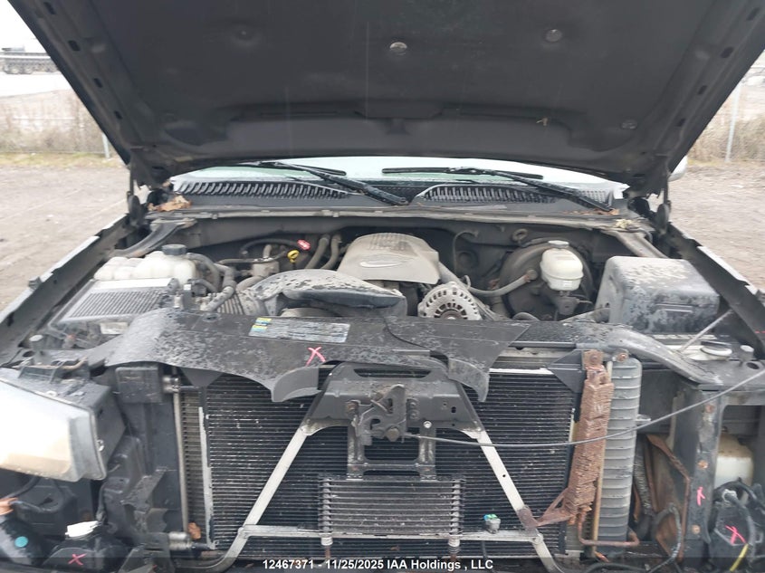 2006 Chevrolet Silverado K1500 VIN: 1GCEK19BX6Z190369 Lot: 12467371