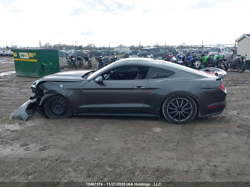 2017 Ford Mustang Ecoboost Premium VIN: 1FA6P8TH8H5206578 Lot: 12467374